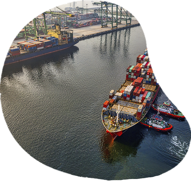 Looking for new proffesionals and parners for mutually beneficial cooperation. 